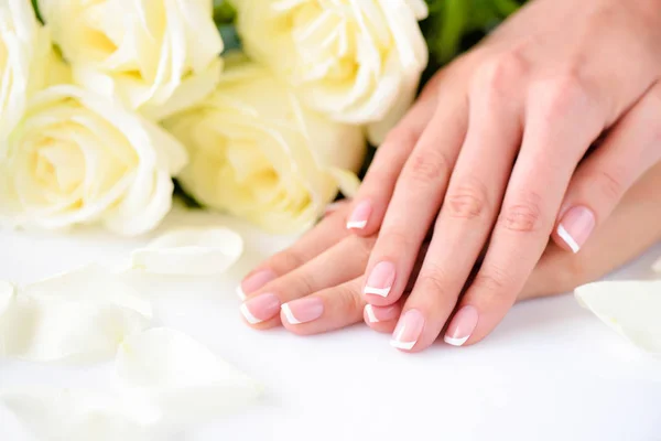 Mãos de uma mulher com bela manicure francesa e rosas brancas — Fotografia de Stock