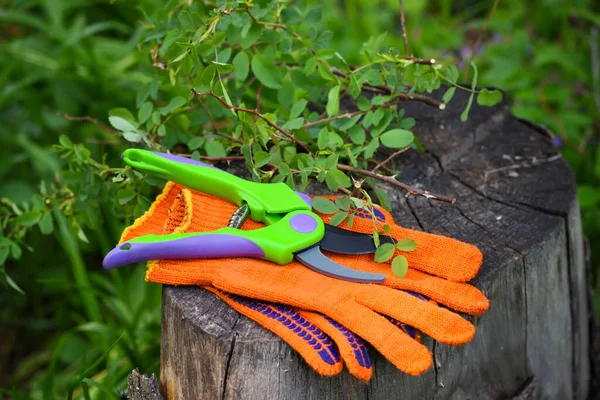 Garden gloves with a pruner for working in the garden