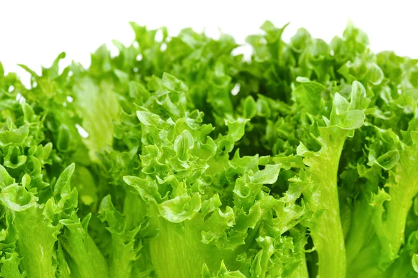 Nahaufnahme Von Grünen Salatblättern Auf Weißem Hintergrund — Stockfoto