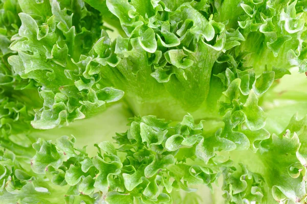 Closeup Green Lettuce Leaves Fragment Abstract Background — Stock Photo, Image