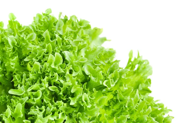 Nahaufnahme Von Grünen Salatblättern Auf Weißem Hintergrund — Stockfoto