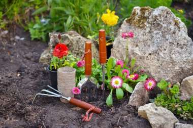 Bahçede bahçe aletleri ve bahar çiçekleri. Bahçe konsepti.