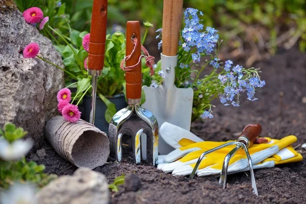 Gartengeräte Und Frühlingsblumen Garten Gartenkonzept — Stockfoto