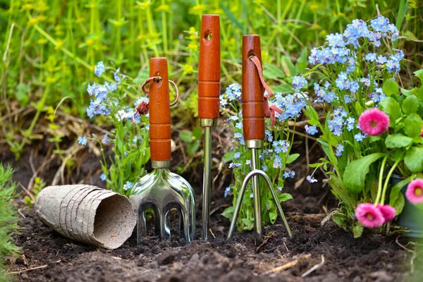 Herramientas Jardinería Flores Primavera Jardín Concepto Jardinería —  Fotos de Stock