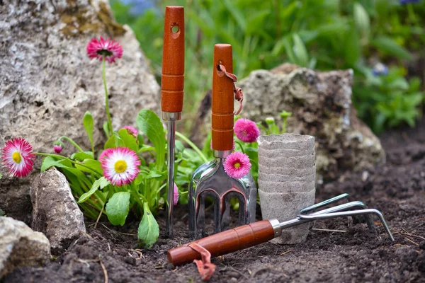 园中的园艺工具和春花 园艺概念 — 图库照片