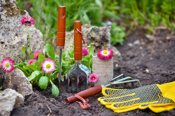 庭の道具や春の花 園芸の概念 — ストック写真
