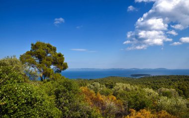 Güneşli bir günde tepeden deniz manzarası