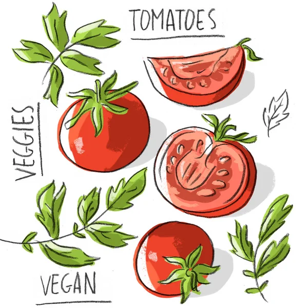 Domates ve yazı ile illüstrasyon — Stok Vektör
