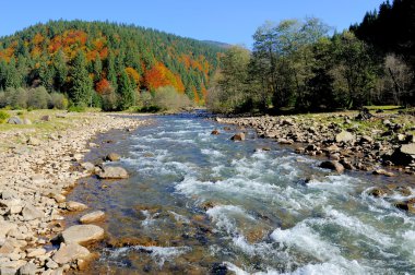 Dağlar ağaçlar ve nehir