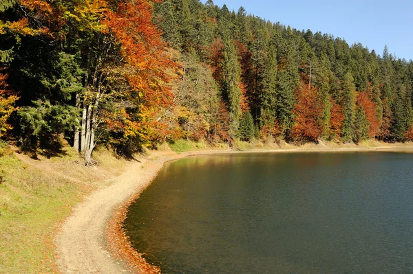 Lago forestale in autunno — Foto Stock