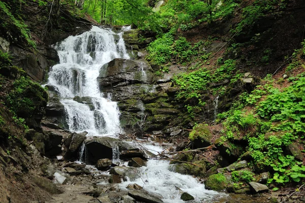 Forest waterfall and rocks — Stock Photo, Image