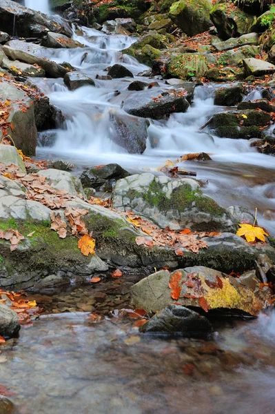 Herbstlicher Waldwasserfall — Stockfoto