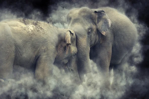 Elephant in smoke — Stock Photo, Image