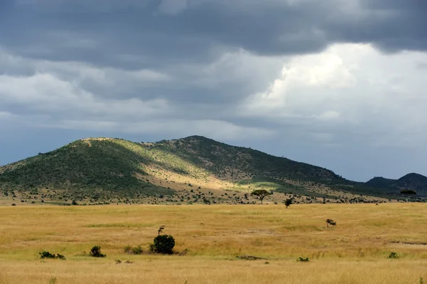 Paisaje de sabana en el Parque Nacional de Kenia — Foto de Stock