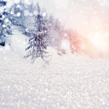 Karlı ağaçlar ve kar taneleri ile kış manzarası