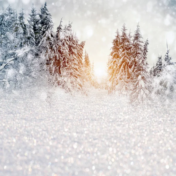 Зимний пейзаж со снежными деревьями и снежинками — стоковое фото
