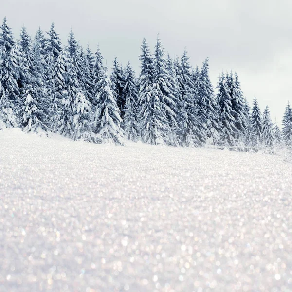 Paisaje invernal con árboles y copos de nieve — Foto de Stock