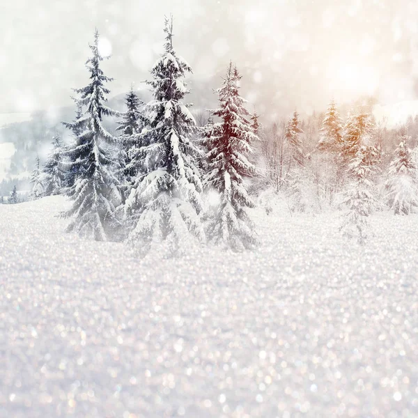 Paisagem de inverno com árvores nevadas e flocos de neve — Fotografia de Stock