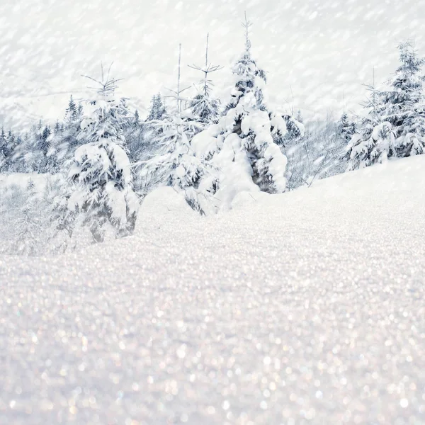 Vinterlandskap med snöiga träd och snöflingor — Stockfoto