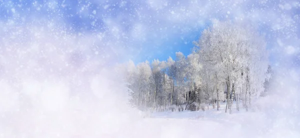 Vinterbakgrunn med snødekte trær og snøfnugg – stockfoto