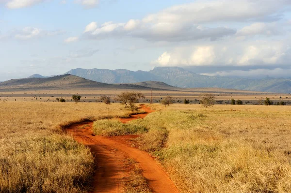 Paesaggio della savana nel parco nazionale di kenya — Foto Stock