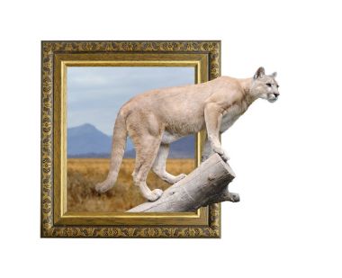 Puma çerçevesinde 3d etkisi ile
