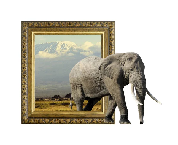 Olifant in frame met 3d effect — Stockfoto