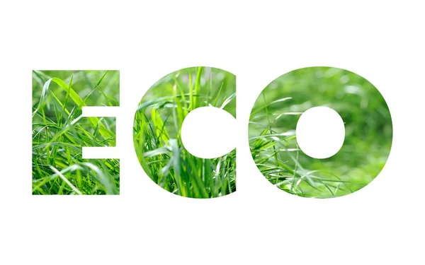 Eco slovo koncepce — Stock fotografie