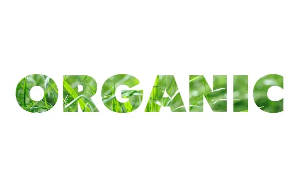 Organic word concept — Stock Photo, Image