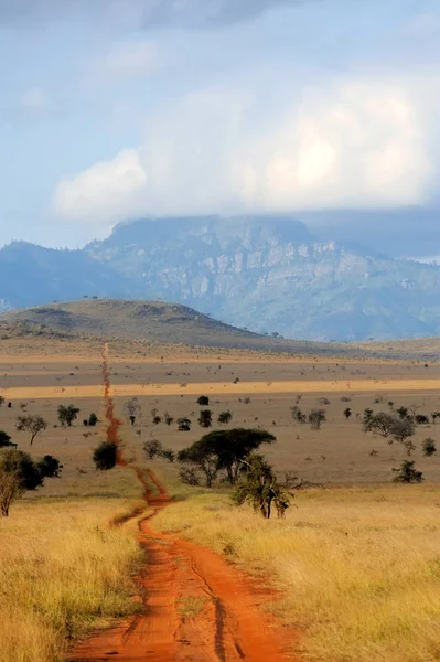 Paisaje de sabana en el parque nacional en Kenya — Foto de Stock