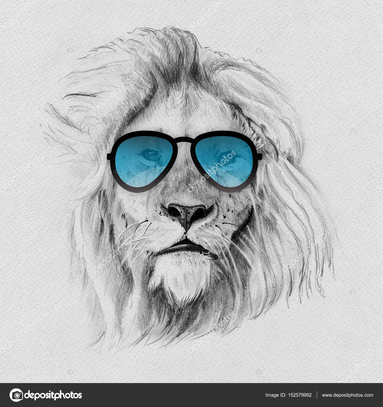 lion sunglasses