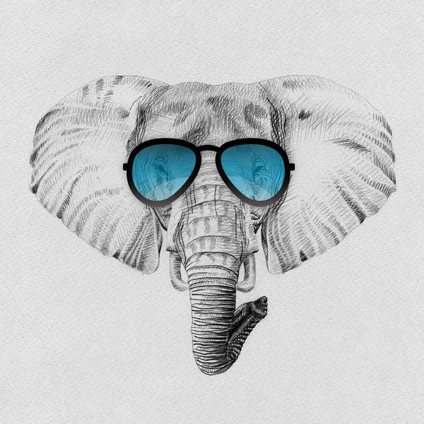 Portrait of elephant drawn by hand in pencil in sunglasses — Stock Photo, Image