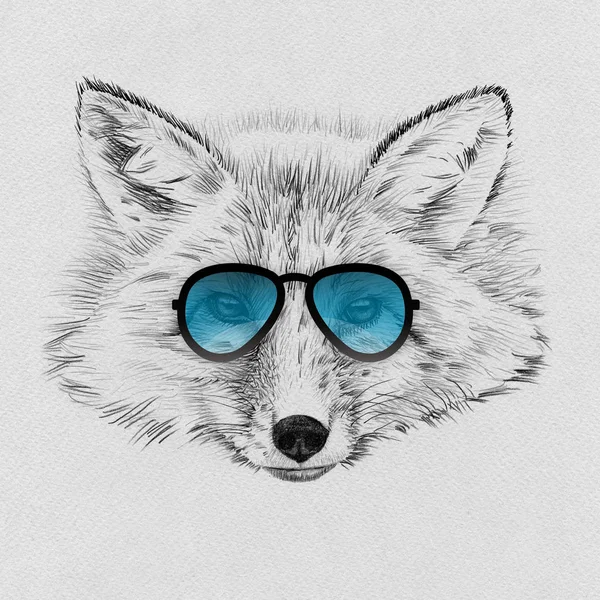 Ritratto di volpe disegnato a mano a matita in occhiali da sole — Foto Stock