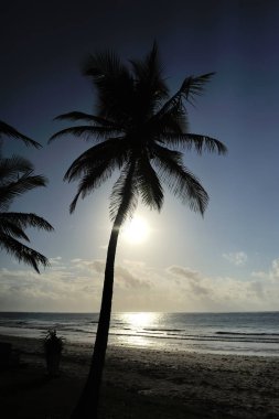 tropik sahil üzerinden günbatımı