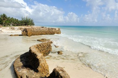 okyanus plaj ve tropikal