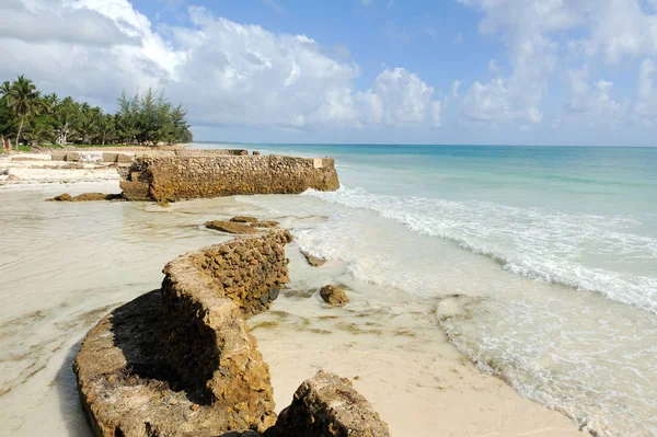 okyanus plaj ve tropikal