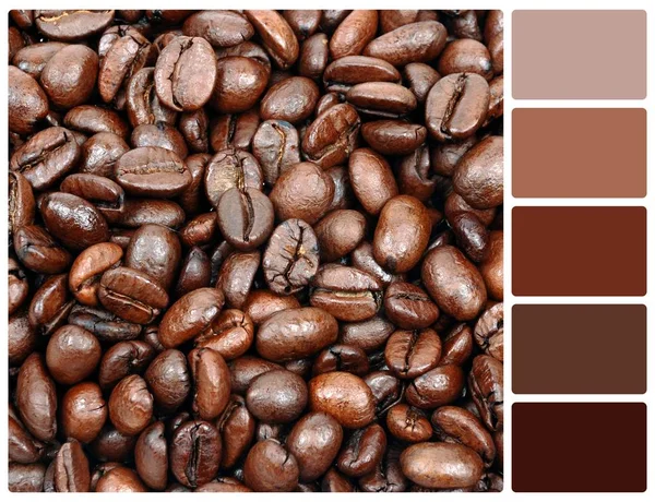 Текстура зерна кофе с образцами цвета палитры — стоковое фото