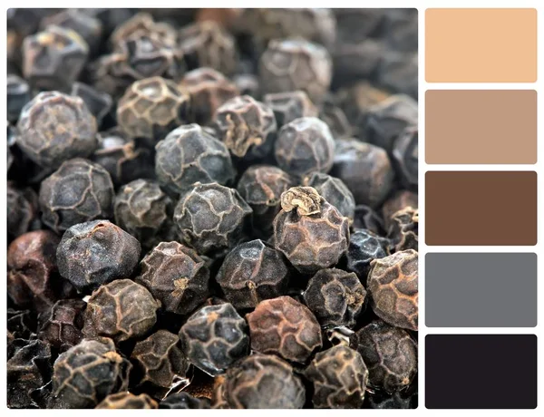 Bors gabona textúra paletta színe színminták — Stock Fotó