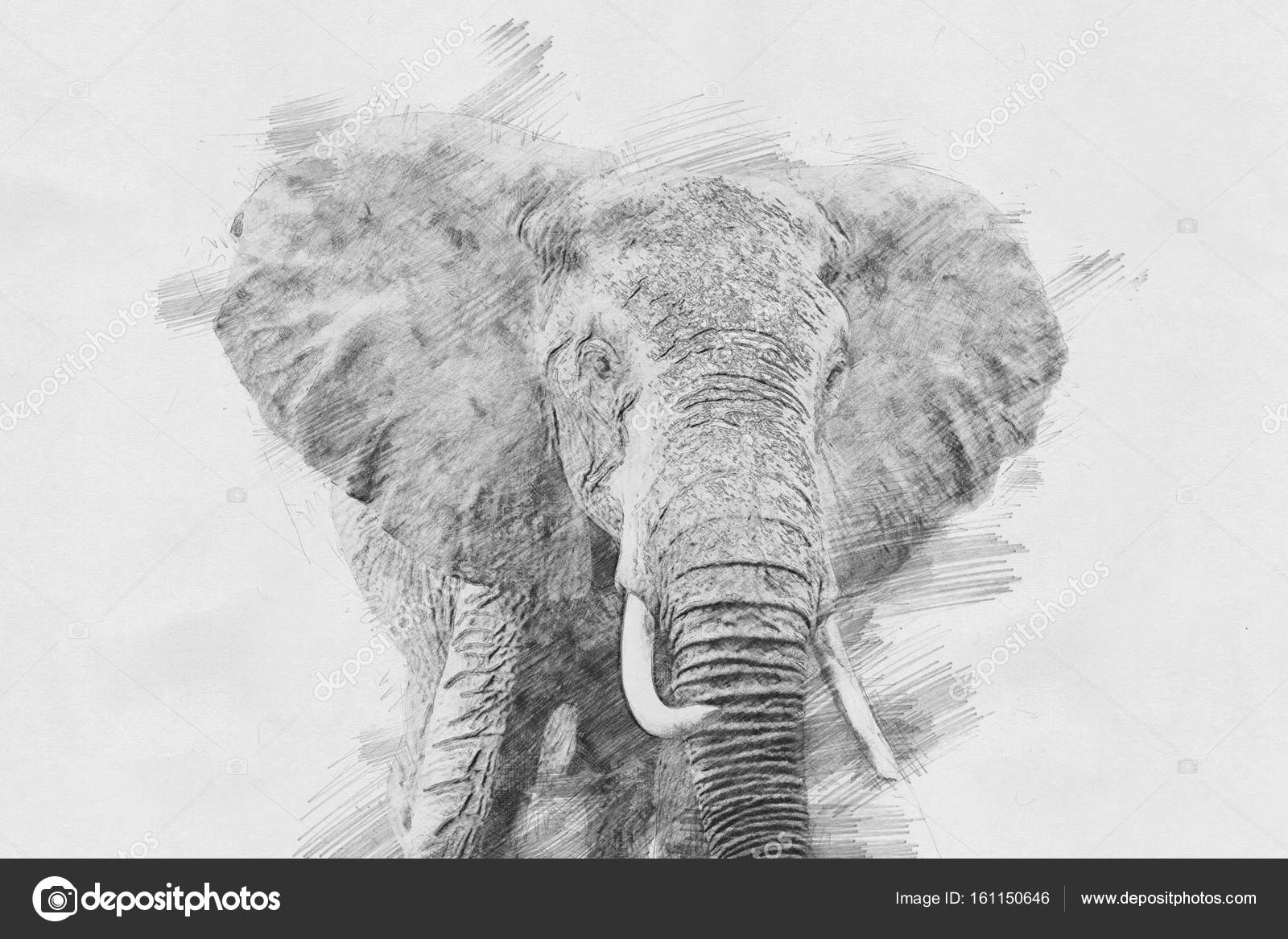 Éléphant. Croquis avec crayon — Illustration de stock par ©Byrdyak -  161150646, image size:1600x1167