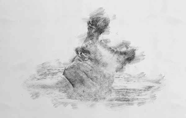 Nilpferd. Skizze mit Bleistift — Stockfoto