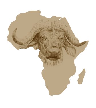 Afrika Haritası çizilmiş buffalo ile