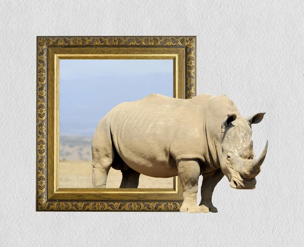 Rhino i ram med 3d-effekt — Stockfoto