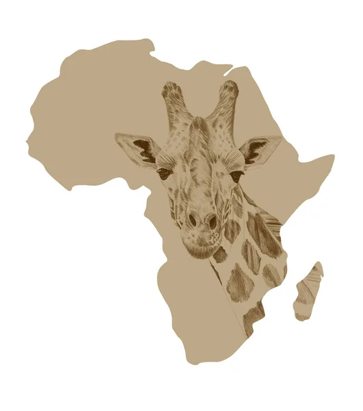 Karte von Afrika mit gezeichneter Giraffe — Stockfoto