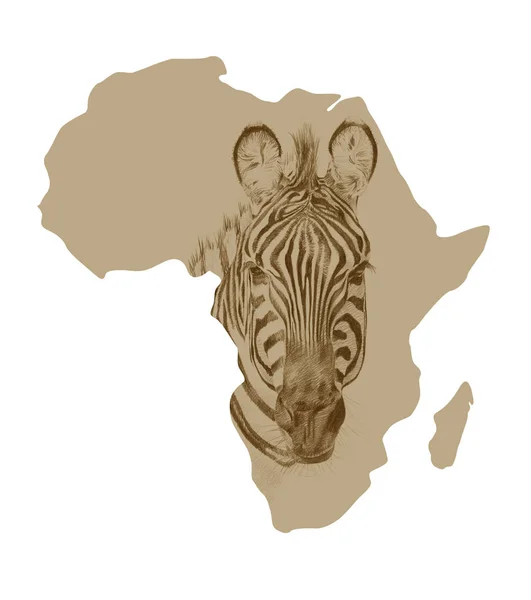 Kaart van Afrika met getekende zebra — Stockfoto