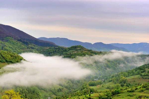 Landskap med fog — Stockfoto