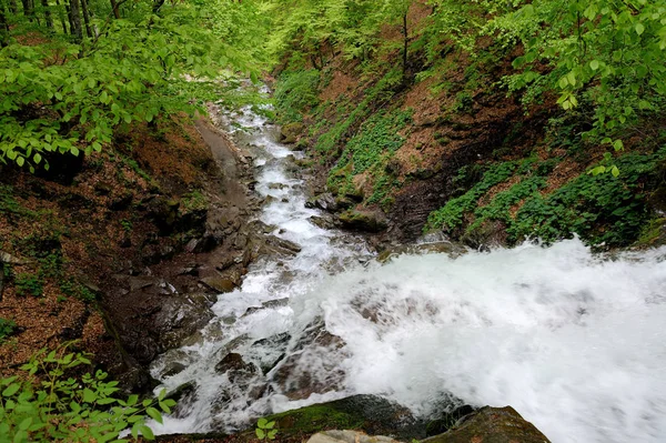 Şelale orman — Stok fotoğraf