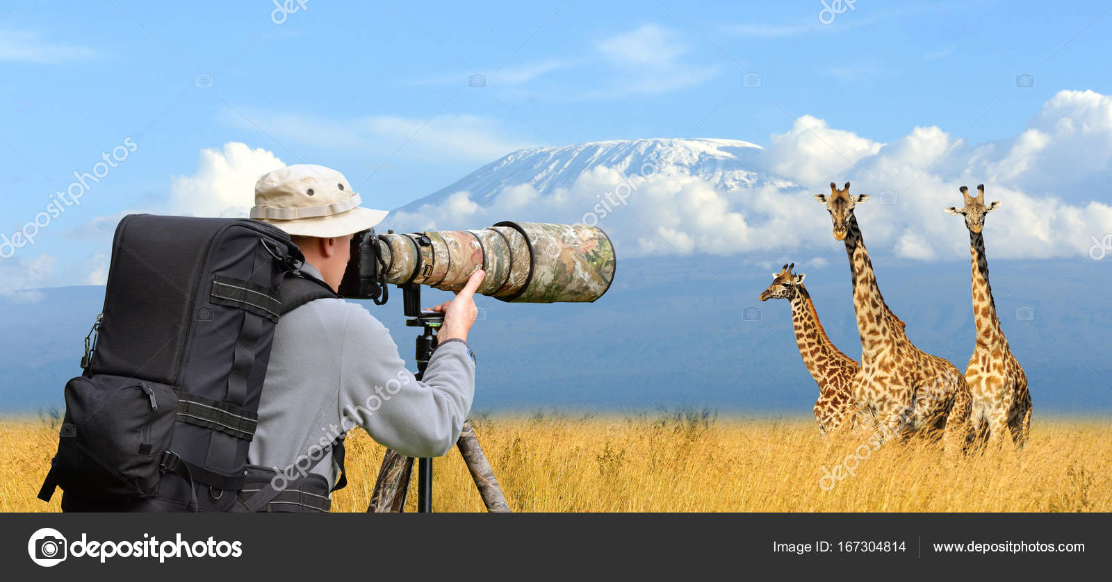 Professional Wildlife Photography professional-wildlife-photography