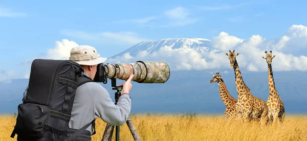 Profesyonel doğa fotoğrafçısı