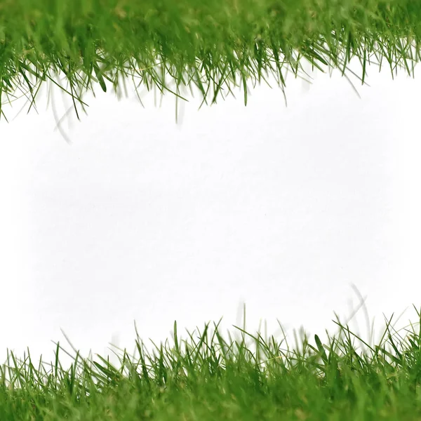 Paper on green grass — Stock Photo, Image