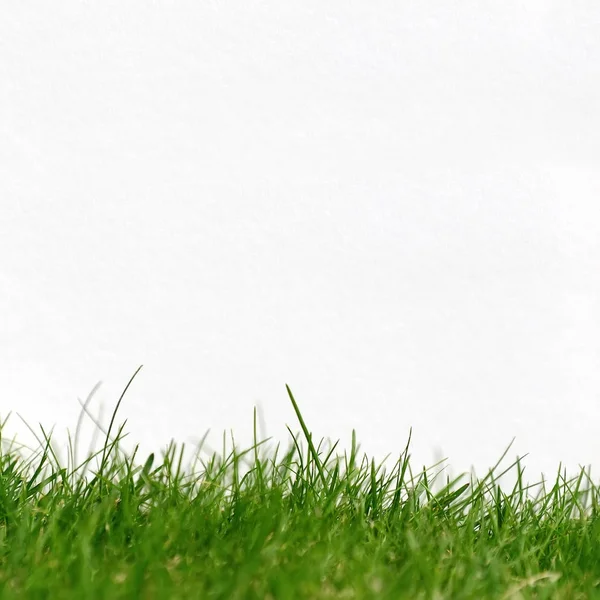 Папір на зеленій траві — стокове фото